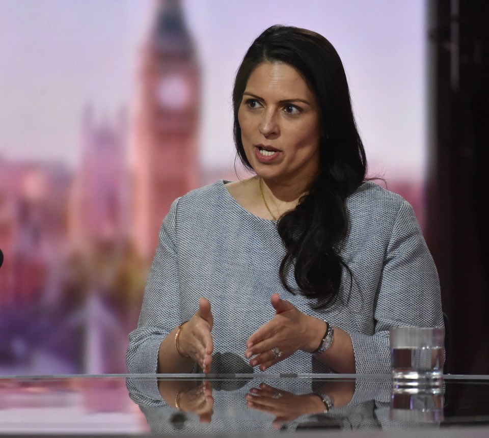 Priti Patel has warned that Britain faces a wave of post-lockdown terror plots