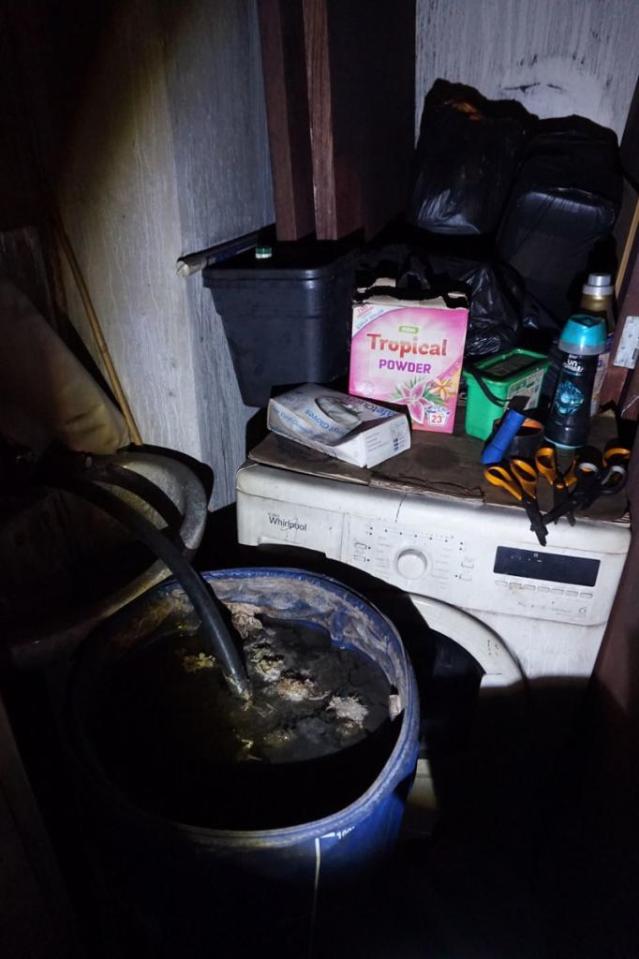 A large bucket of mouldy water with pipes sticking out of it was found in the hallway