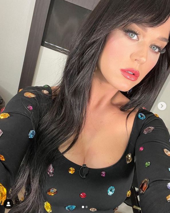 Katy perry has been rocking a long dark mane lately, but admitted it’s really a wig