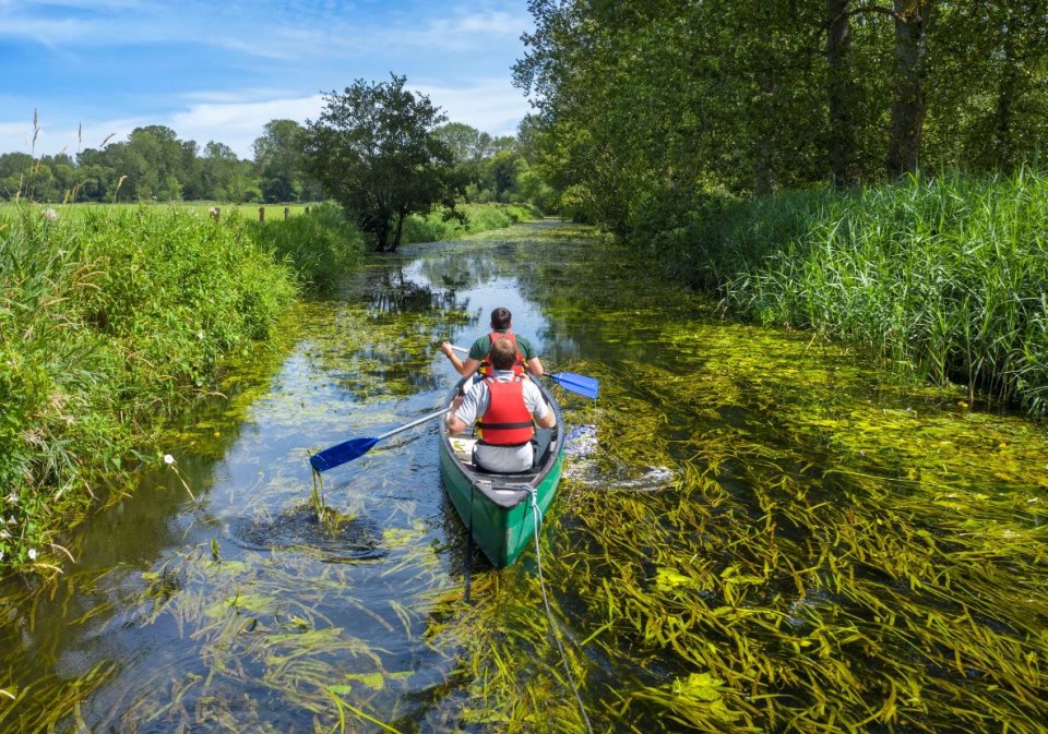 Get back to nature at Thorpe Forest