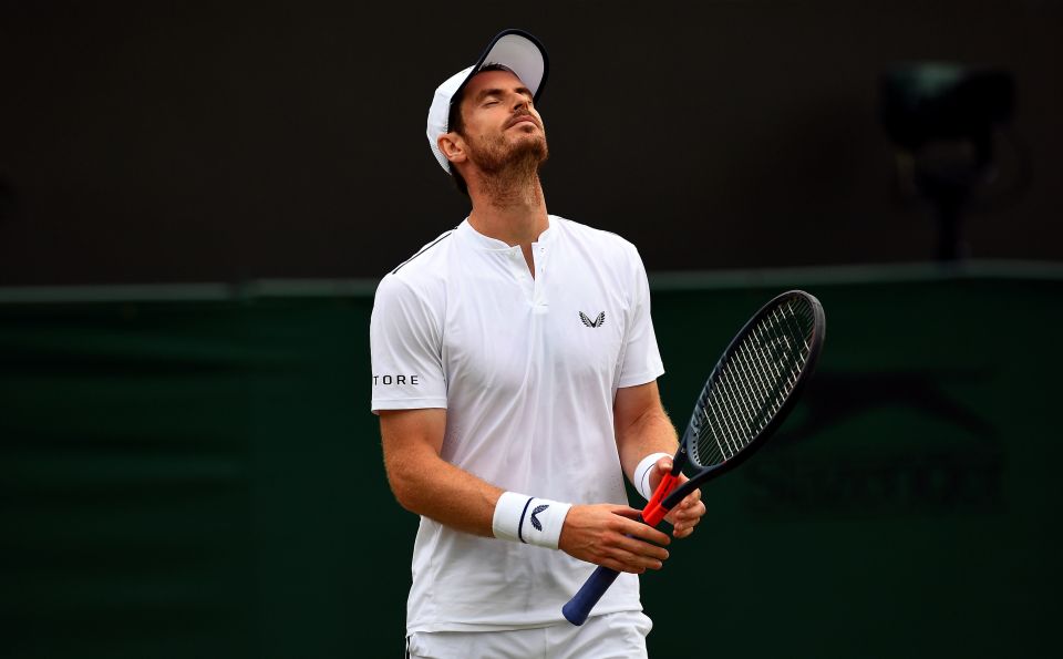 Andy Murray will soon make his long-awaited return to the grass