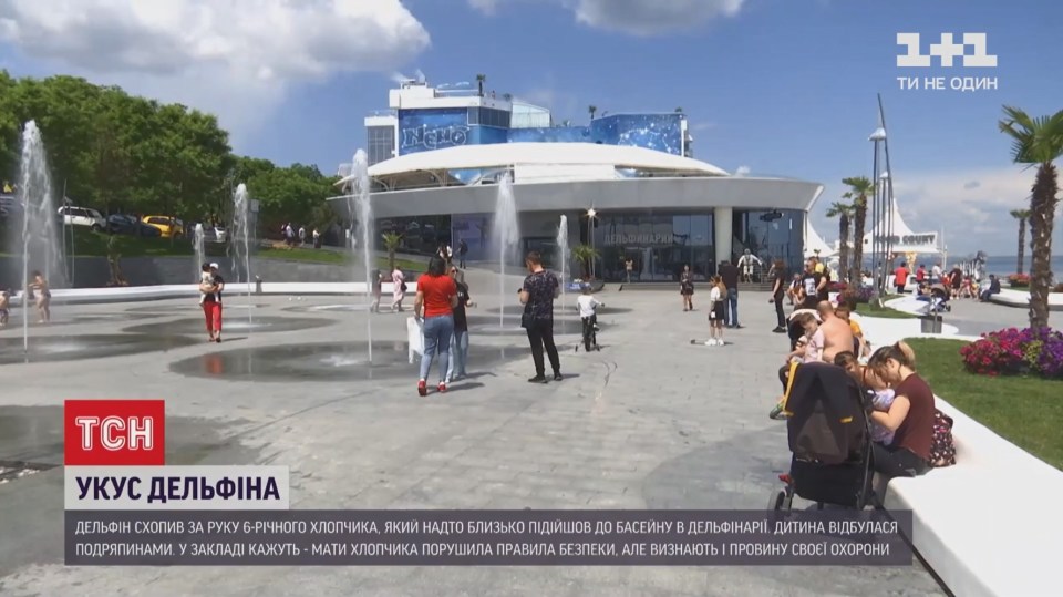 The Nemo dolphinarium in Odesa, where the incident took place