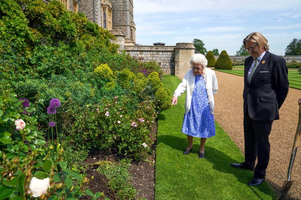 The flower was planted in the gardens of Windsor Castle yesterday