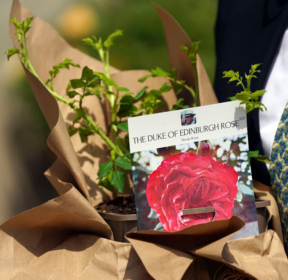 The deep pink commemorative rose was officially named in memory of the Duke, who died aged 99 on April 9