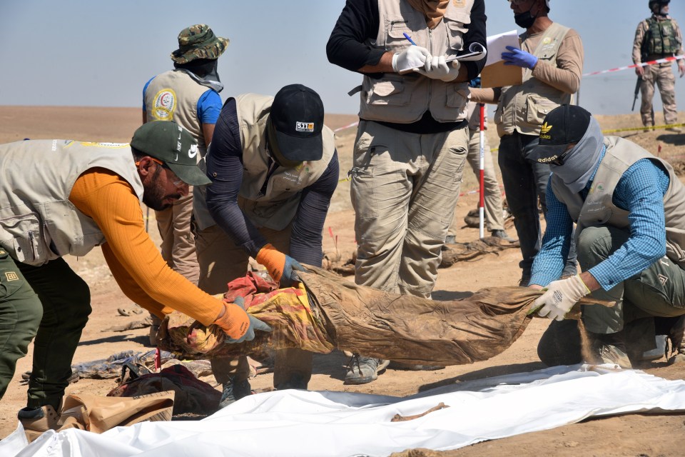 Experts remove the bodies from the mass grave