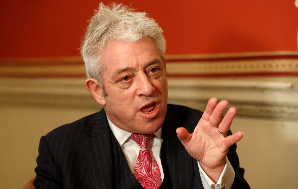 Speaker John Bercow has defected to the Labour party