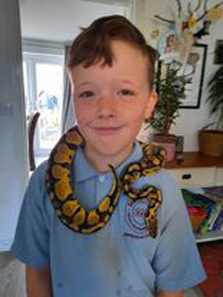 The snake had escaped two weeks earlier from nine-year-old Ellis