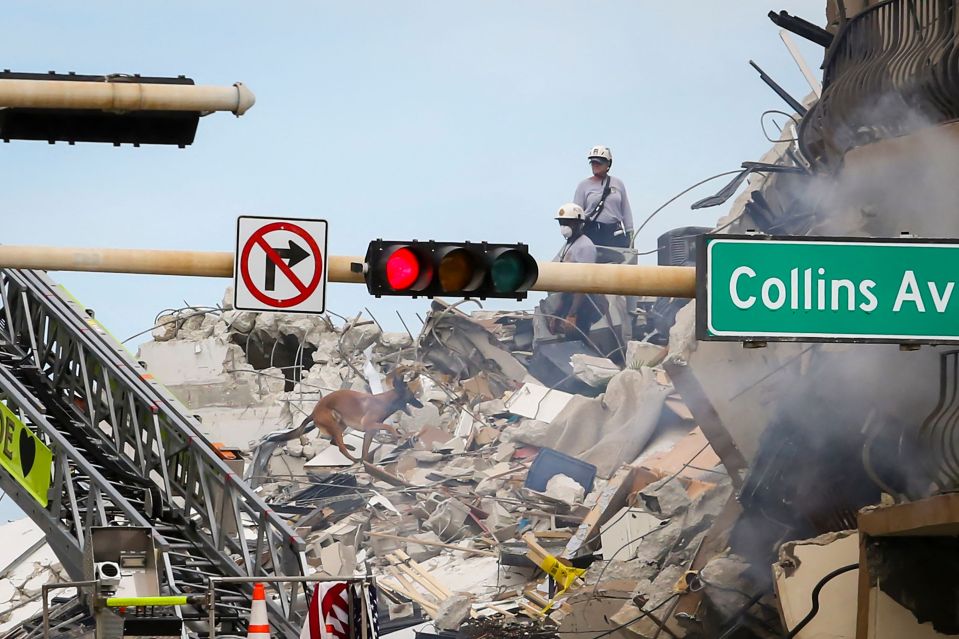 Crews and K9 teams search for survivors trapped beneath the debris