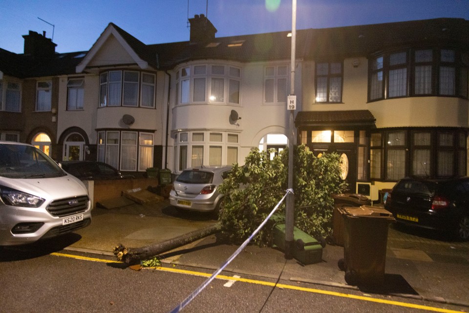 The twister tore trees from the ground and sent wheelie bins flying