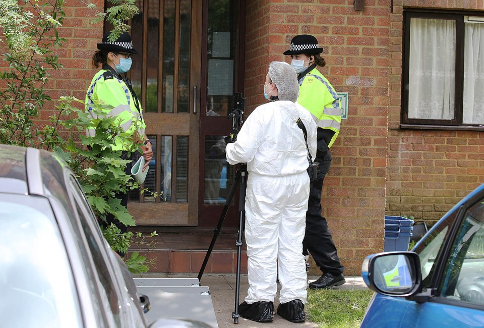 Cops at the scene where a child was found badly injured and two men died