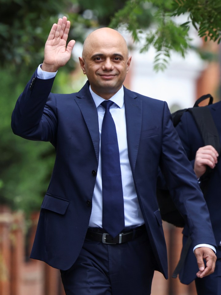 Incoming Health Secretary Sajid Javid today vowed to work hard for Brits - as leading figures warned he has little time to rescue the NHS from 'crisis'