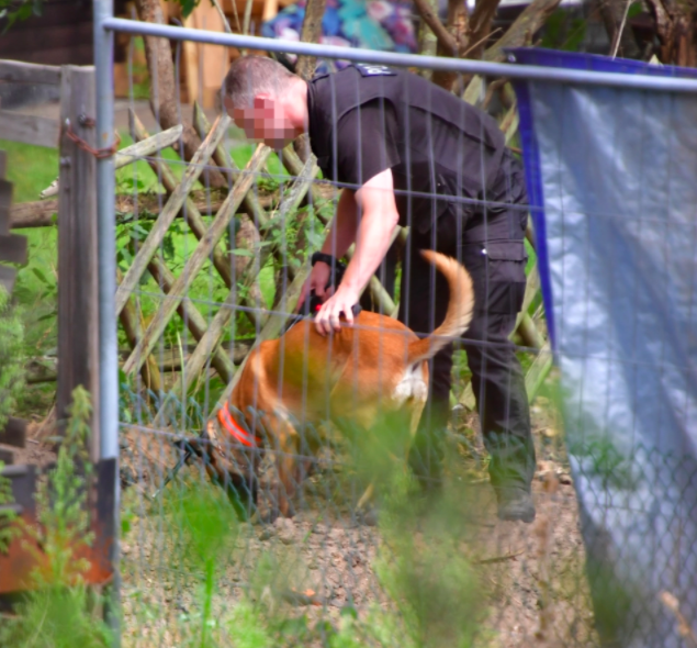 A sniffer dog investigates an allotment site in Germany owned by Christian B