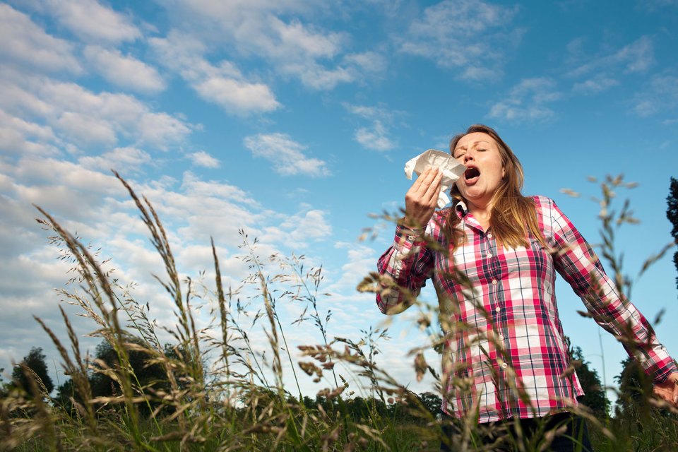 Grass pollen levels peak in the first two weeks of June so its hankies at the ready for hay hay fever sufferers