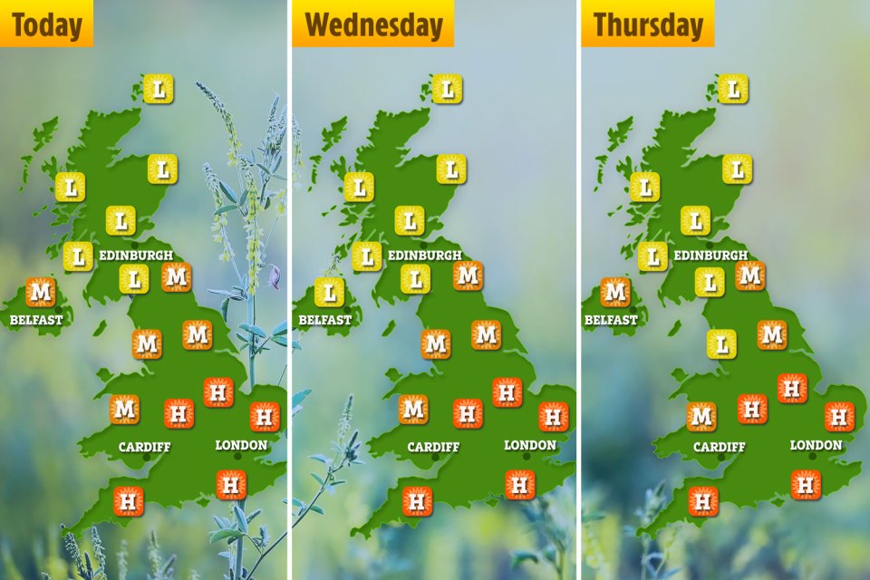 The chart above shows pollen levels for the next few days