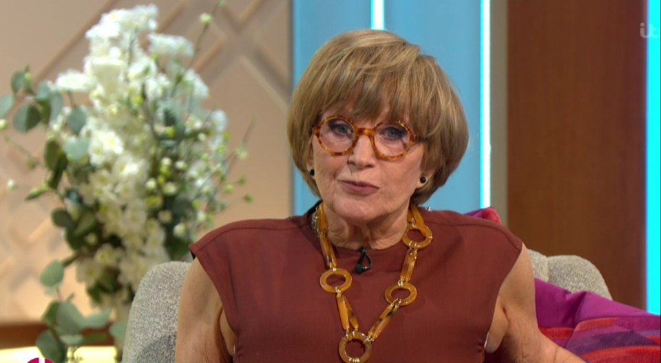 Countdown's Anne Robinson shocks fans with youthful appearance as she admits she's had a facelift