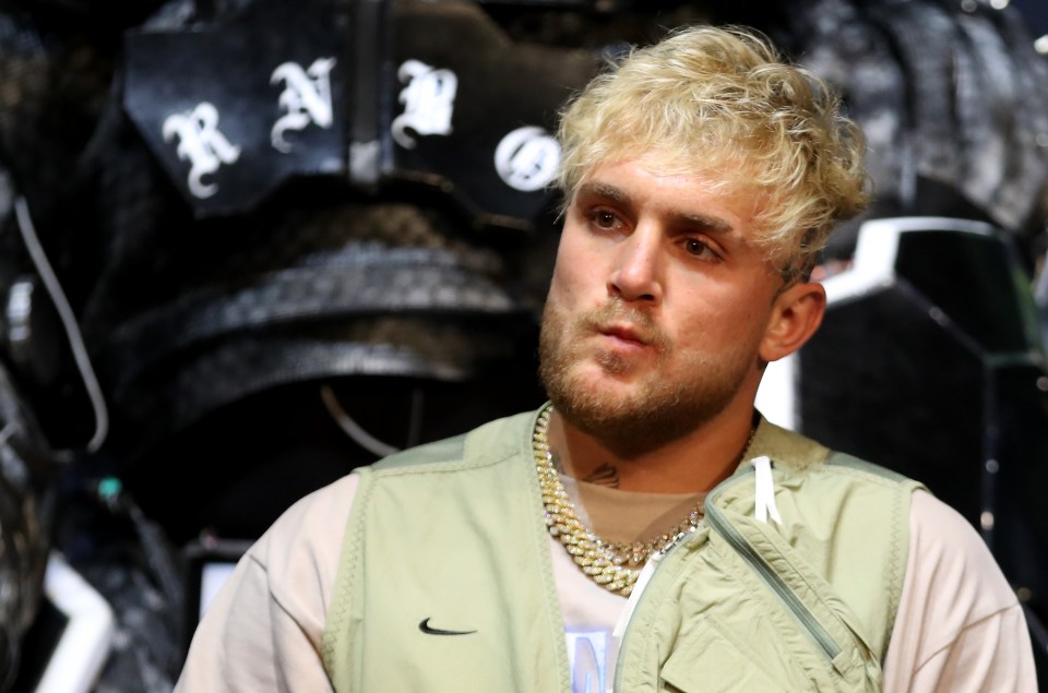 Jake Paul said 'evil man' Conor McGregor 'had what was coming for him'