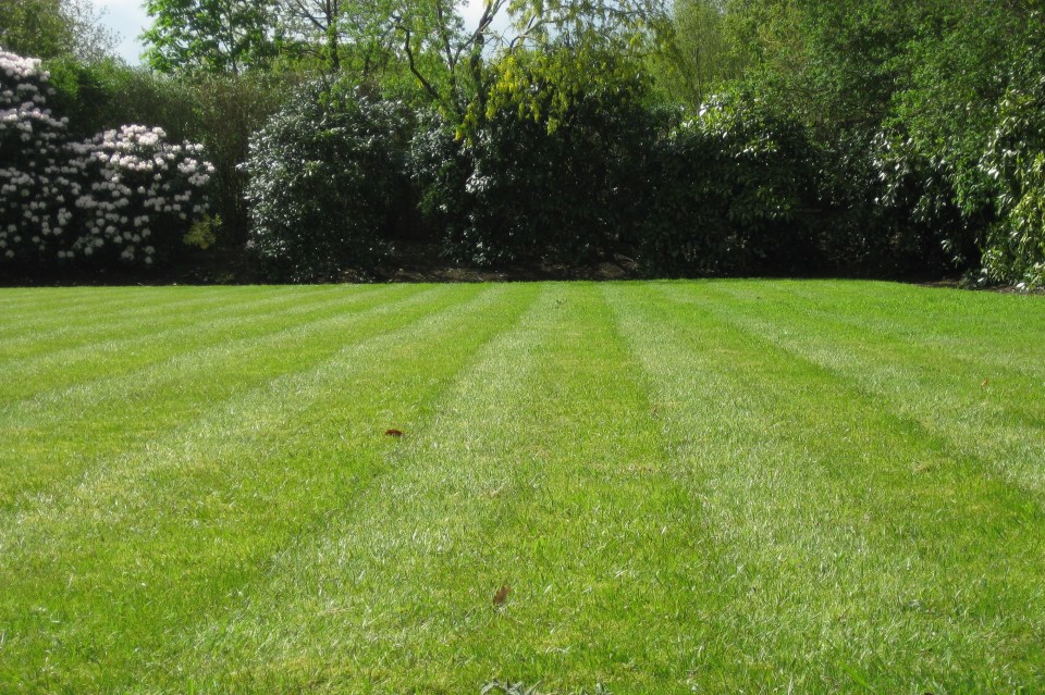 Cut sparingly or you risk trimming your grass too short