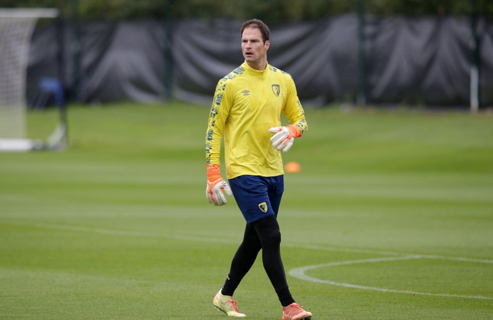 Benitez wants to bring Begovic to Goodison Park this summer