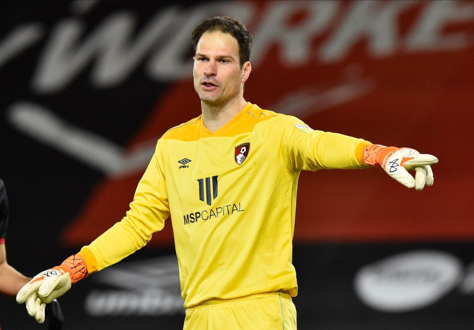 Goalkeeper Asmir Begovic has agreed a deal until 2023