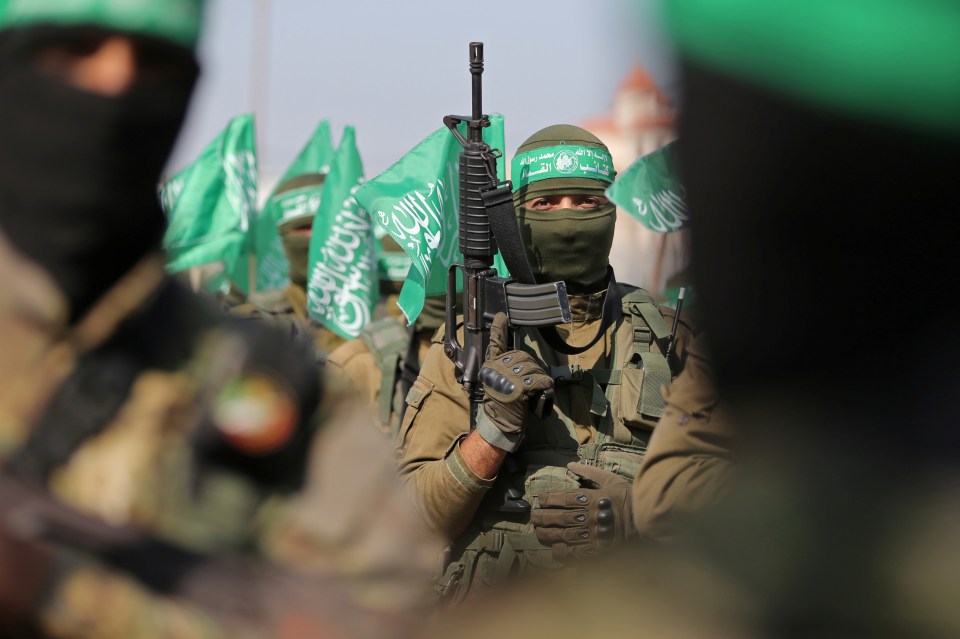 The swarms targeted Hamas terrorists