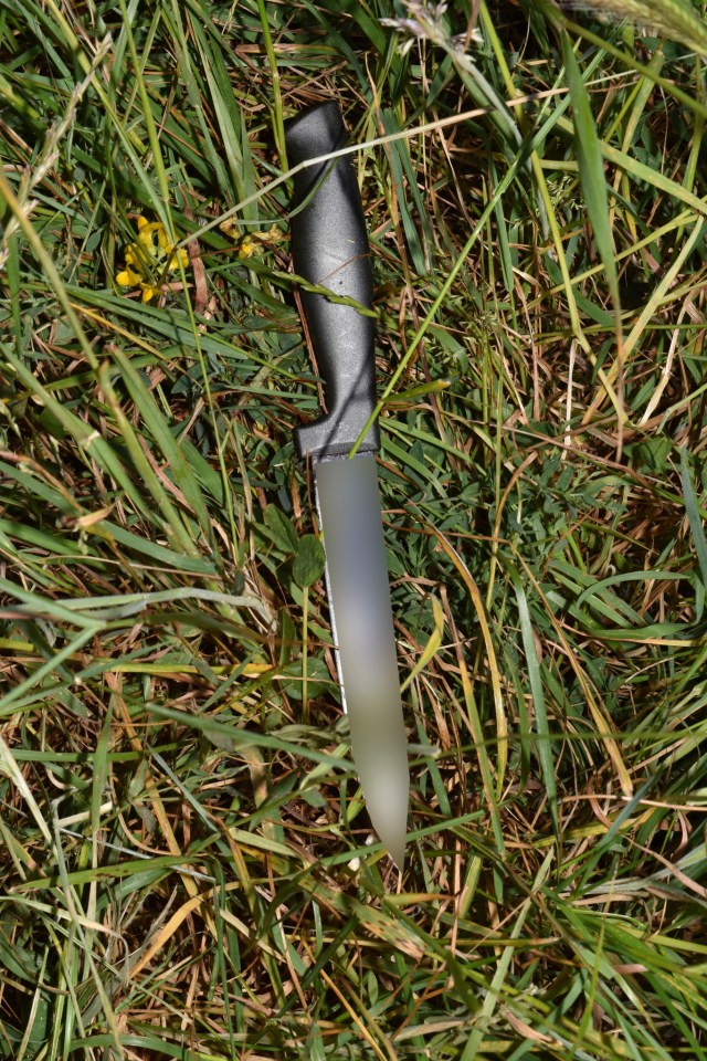 A knife found at the scene