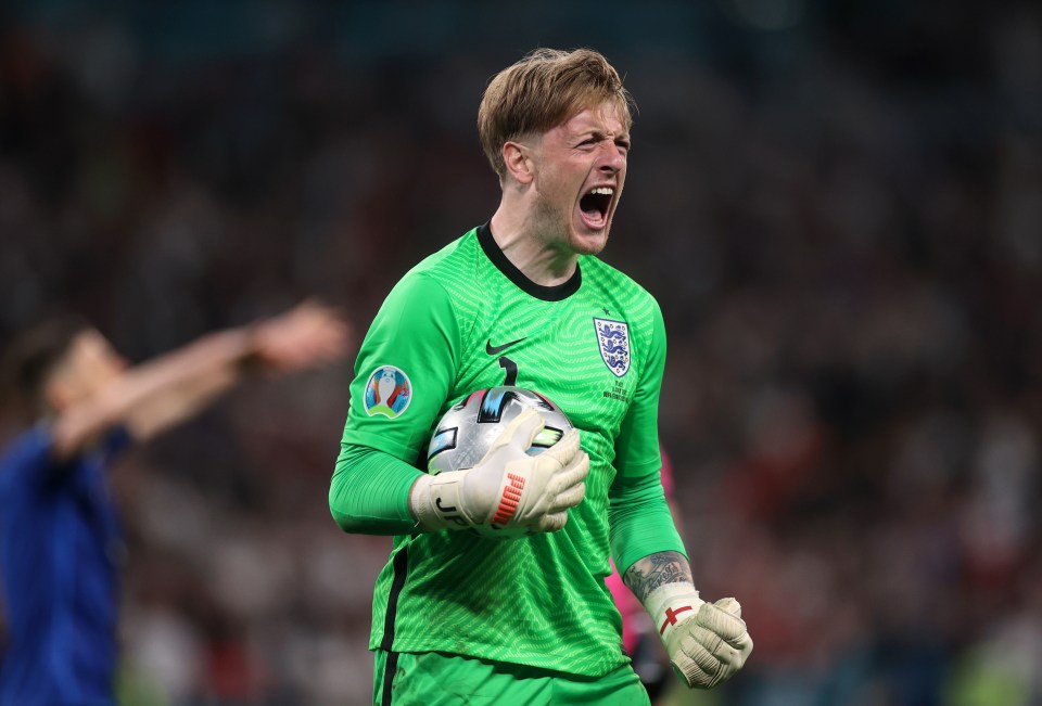 He sees the Bosnian as the ideal back-up for England hero Pickford