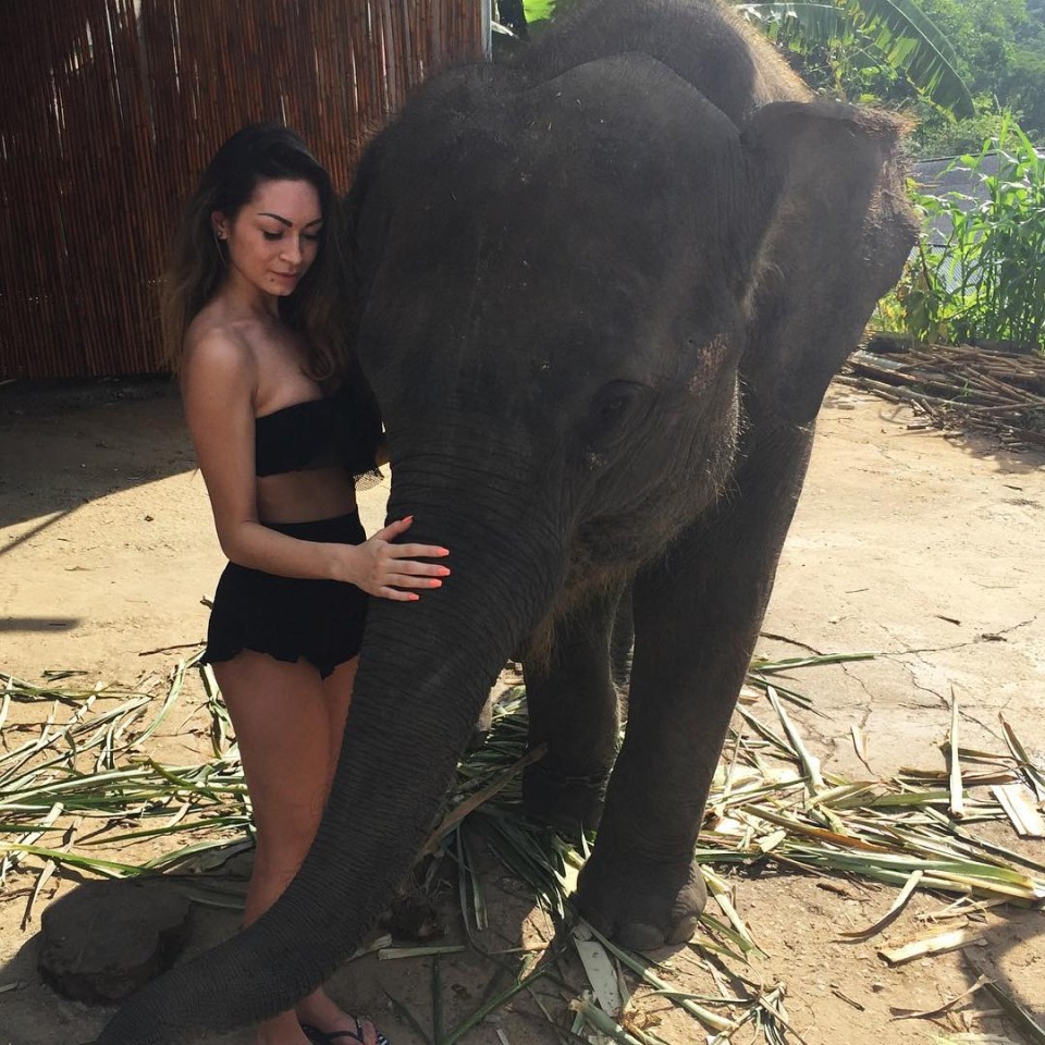 AJ met a elephant in Thailand