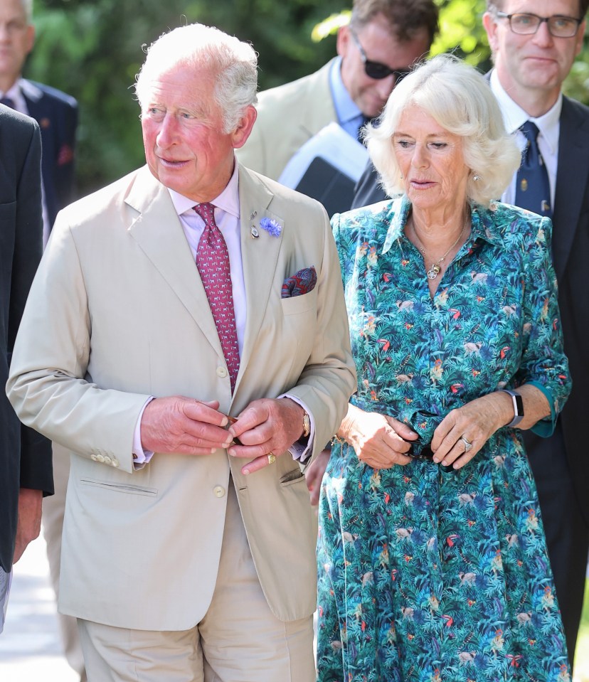 Prince Harry surprised his father, Prince Charles, with news of his tell-all book