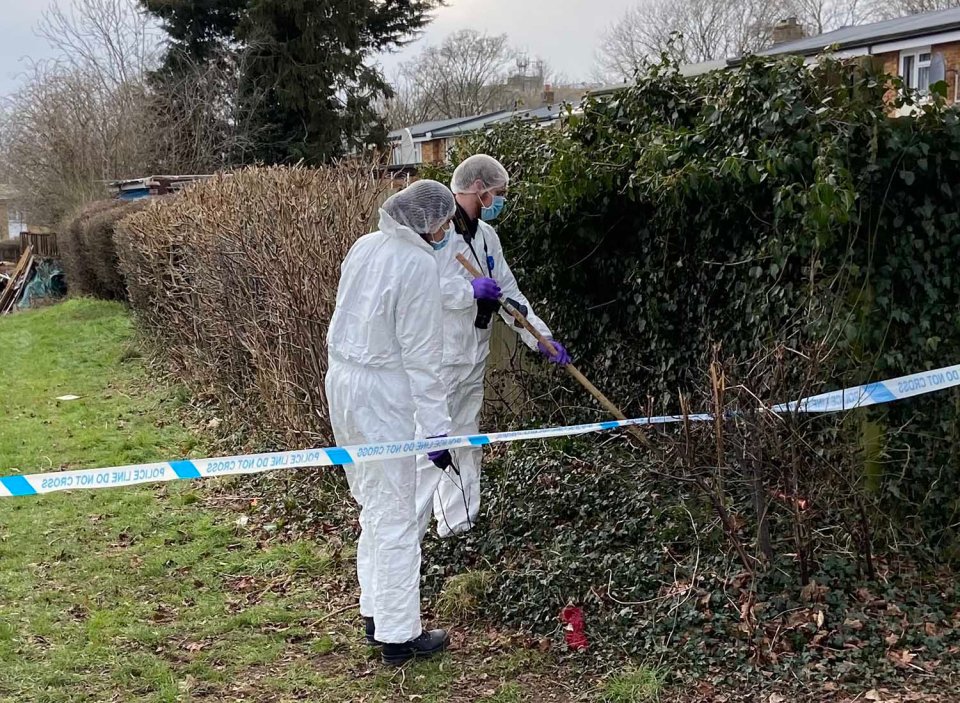 A murder investigation was launched in Herts after the dad was killed