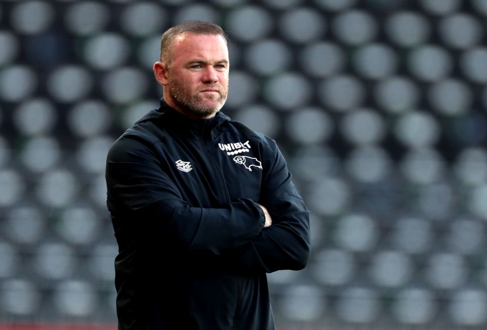 Rooney has overseen a number of arrivals at Pride Park