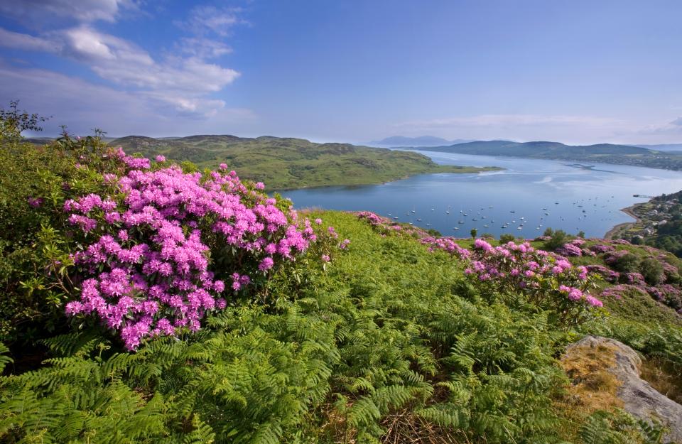 The idyllic island of Bute has some wonderfully varied landscapes