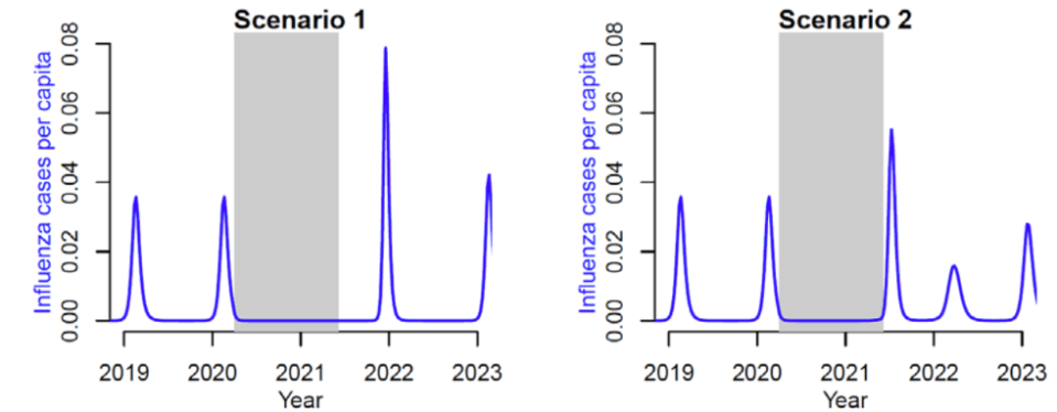 Modelling of flu resurgence.: Both scenarios, which looked at different levels of population immunity, showed a wave of flu cases up to 1.5-2.2 times larger than a "normal" wave peaking in either the winter (left) or summer (right). The grey area is when Covid rules were in place