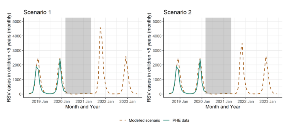 A resurgene of RSV could see an outbreak 1.5-2 times larger than normal in children under five years, depending on levels of immunity among pregnant women post-Covid era (grey)