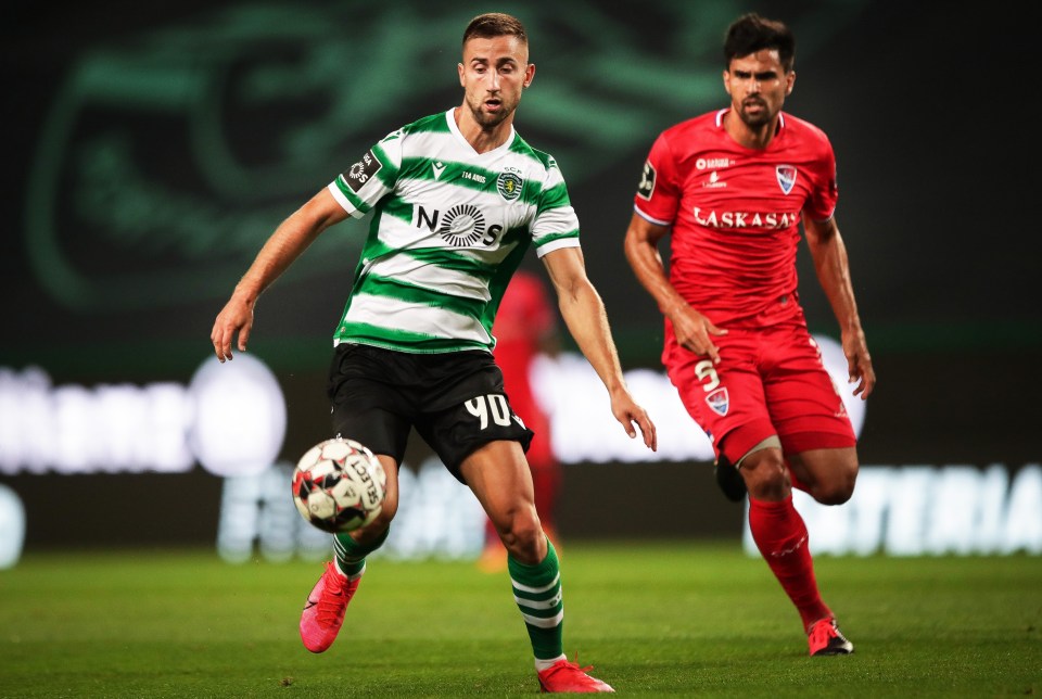 Middlesbrough are closing in on the signing of Sporting Lisbon striker Andraz Sporar