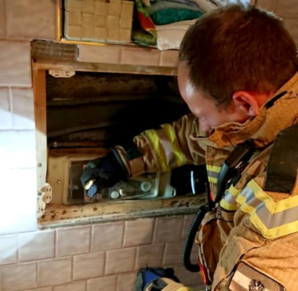 A firefighter investigates after the massive snake was spotted