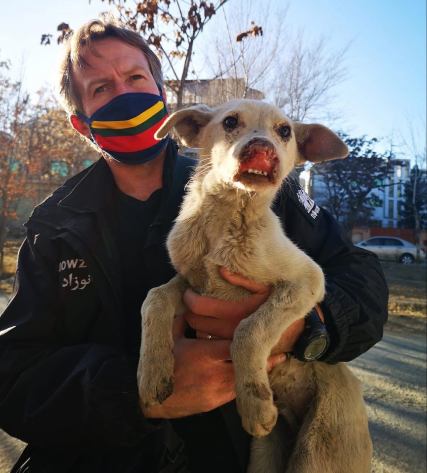 Pen Farthing and his rescue animals are finally on their way to Britain