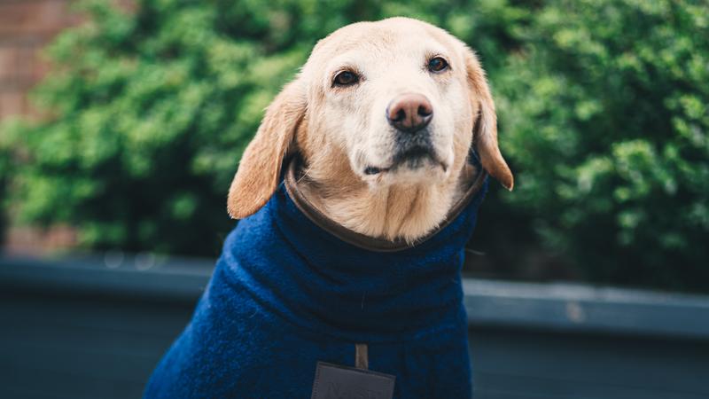 This drying coat is made from bamboo.