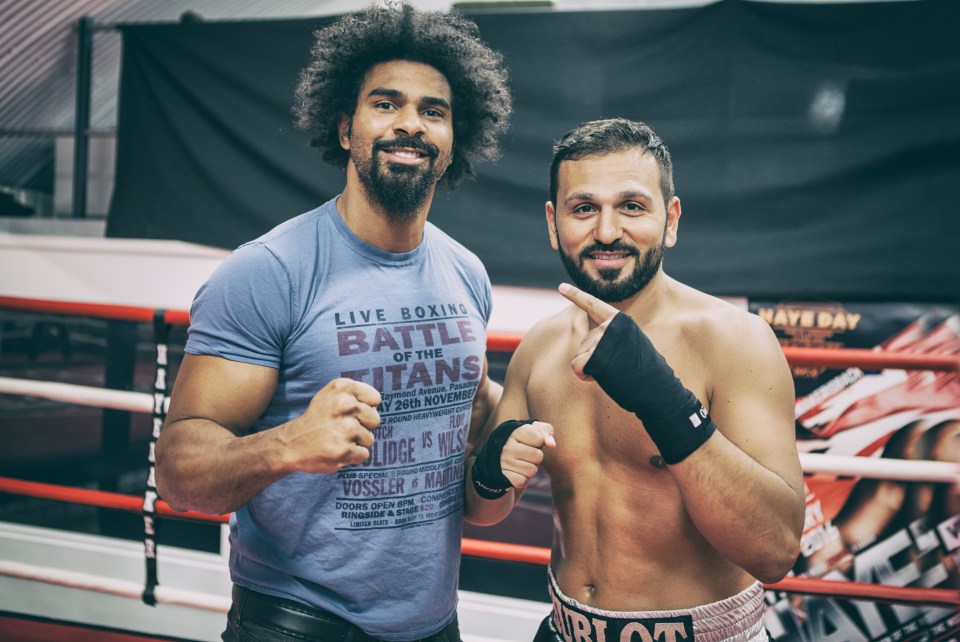 David Haye will fight Joe Fournier on his comeback