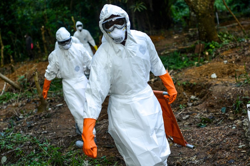 The Ebola outbreak in West Africa killed over 11,000 people