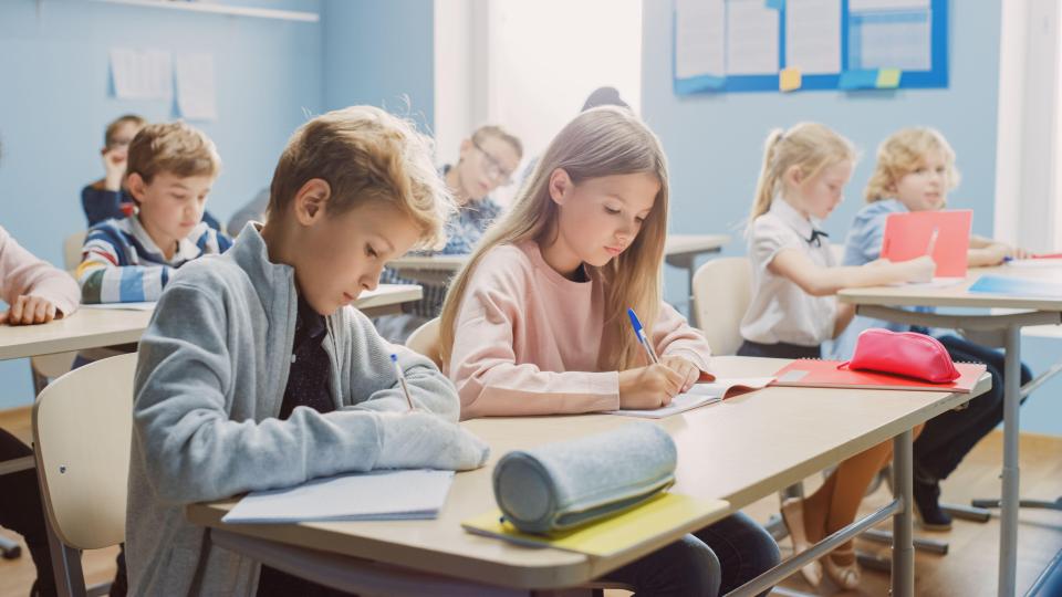 Kids at schools in Northern Ireland and now Scotland should be supportted by teachers to change gender, government documents say