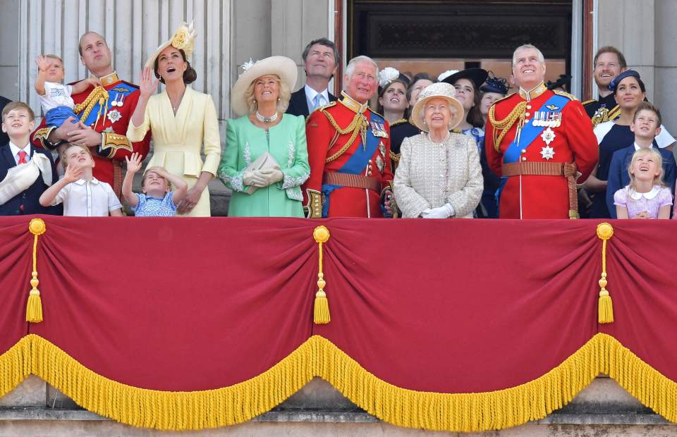 Meghan and Harry are pictured while still frontline members of the Firm