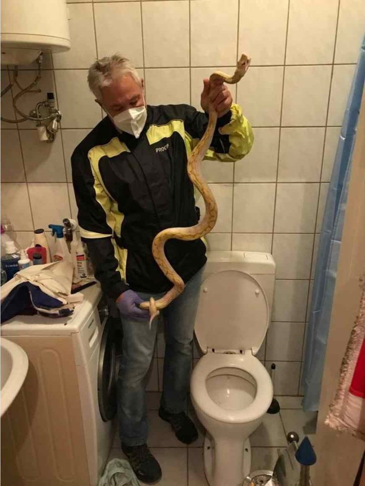 It was one of a number of bizarre snake incidents in Austria