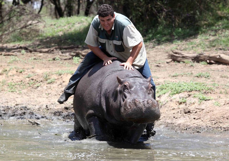 Marius Els with his 'pet' hippo