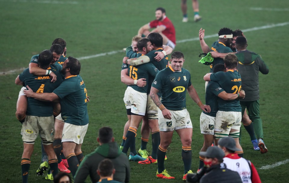 South Africa celebrate after their thrilling series win over the Lions