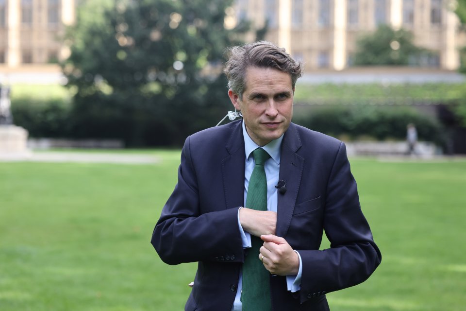 Gavin Williamson could be axed as education secretary