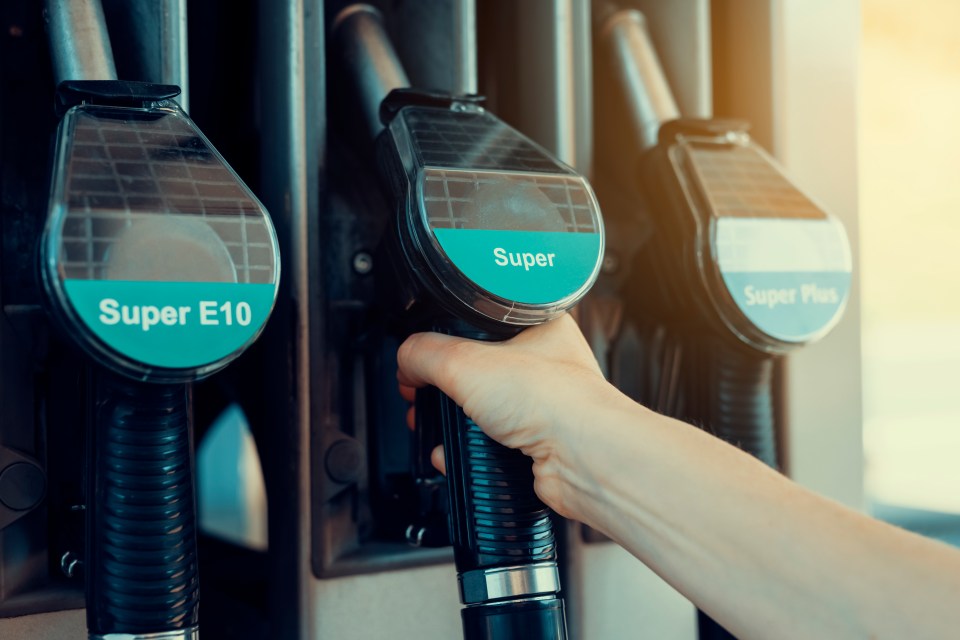 Petrol pumps will look a little different come September, with E10 fuel on offer