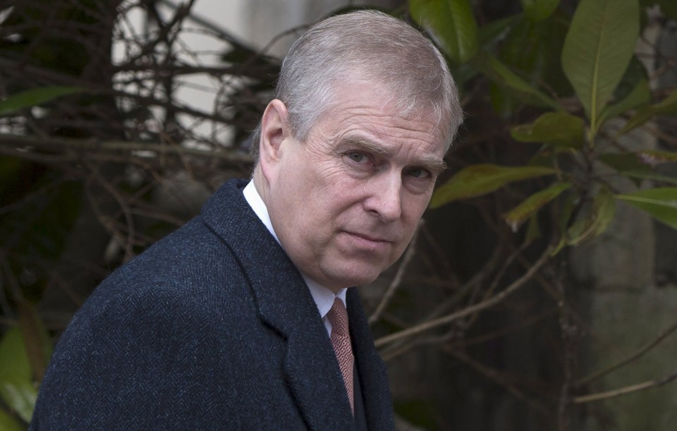 The Duke of York could lose his 'His Royal Highness' and military titles