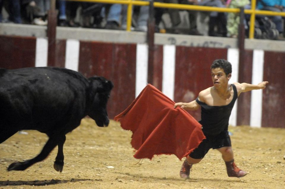 Campaigners are calling for dwarf bullfighting to be banned in Spain