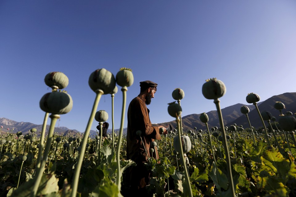 Taliban fighters are known to sell heroin