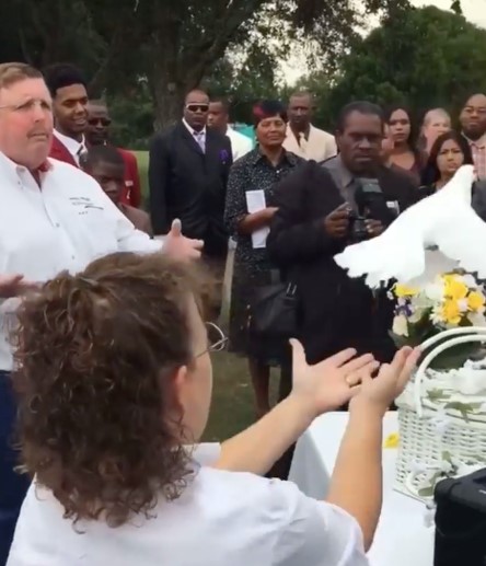 A dove met a grizzly end when it was "set free" during a religious ceremony